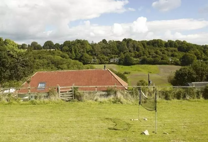 Leys At Valley View Farm