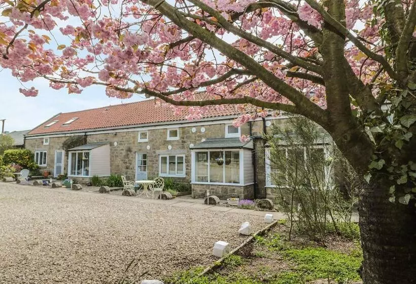 Robin Cottage