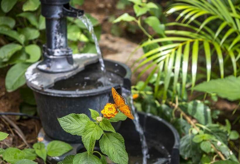 住宿加早餐  Casa Biulù