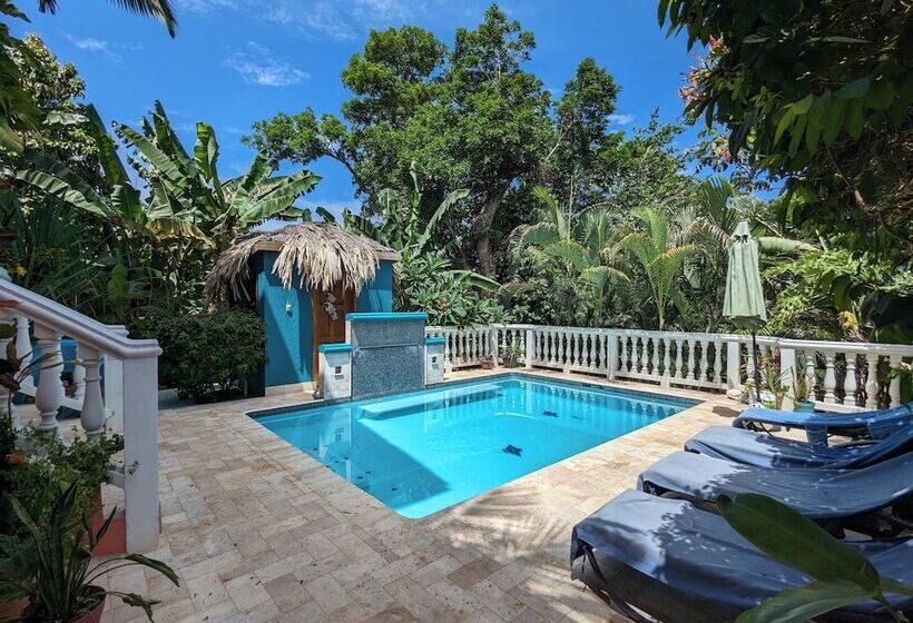 تختخواب و صبحانه Seaside Inn