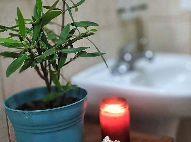 تختخواب و صبحانه Seaside Inn