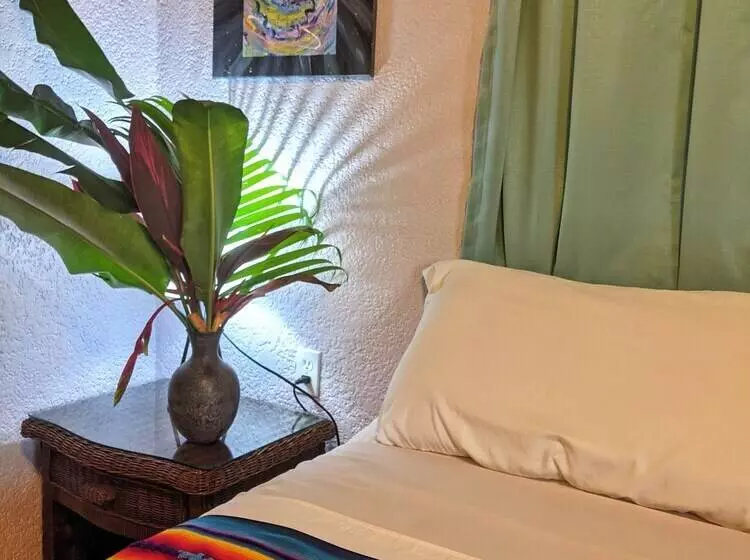 تختخواب و صبحانه Seaside Inn