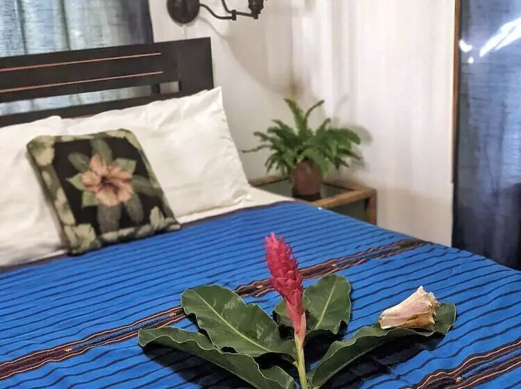تختخواب و صبحانه Seaside Inn