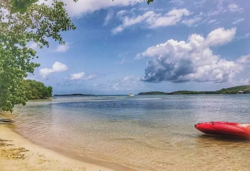 Hotelli Anoli Lodges Village