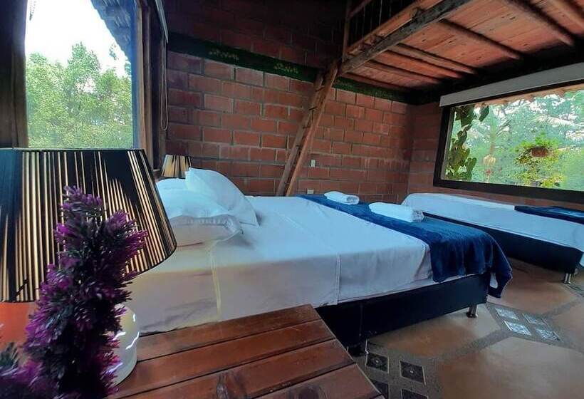 ホテル Aqua Ecolodge