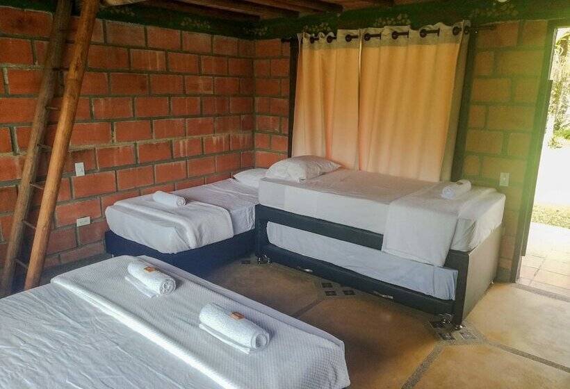 ホテル Aqua Ecolodge