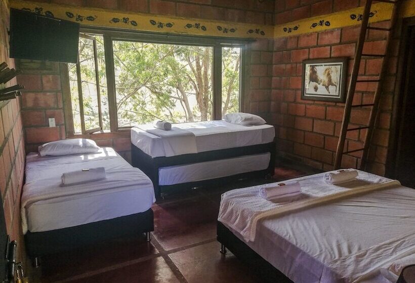 ホテル Aqua Ecolodge