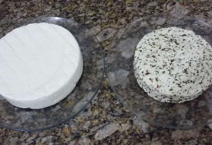 Отель Flamingo Ituverava