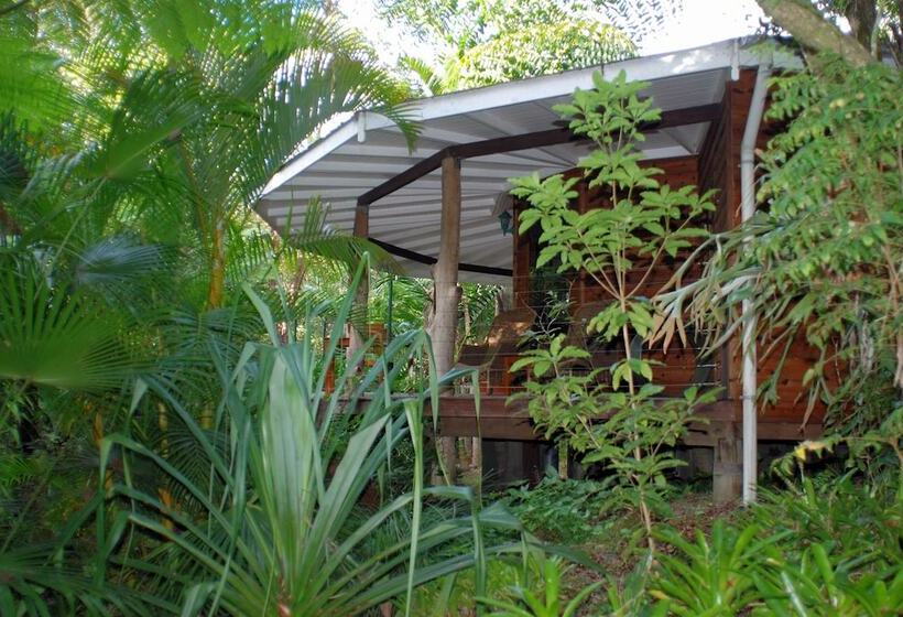 Отель Wollumbin Palms Rainforest Retreat