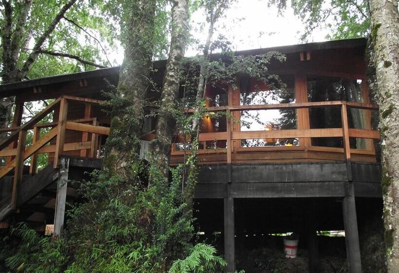 فندق Patagonia Mawida