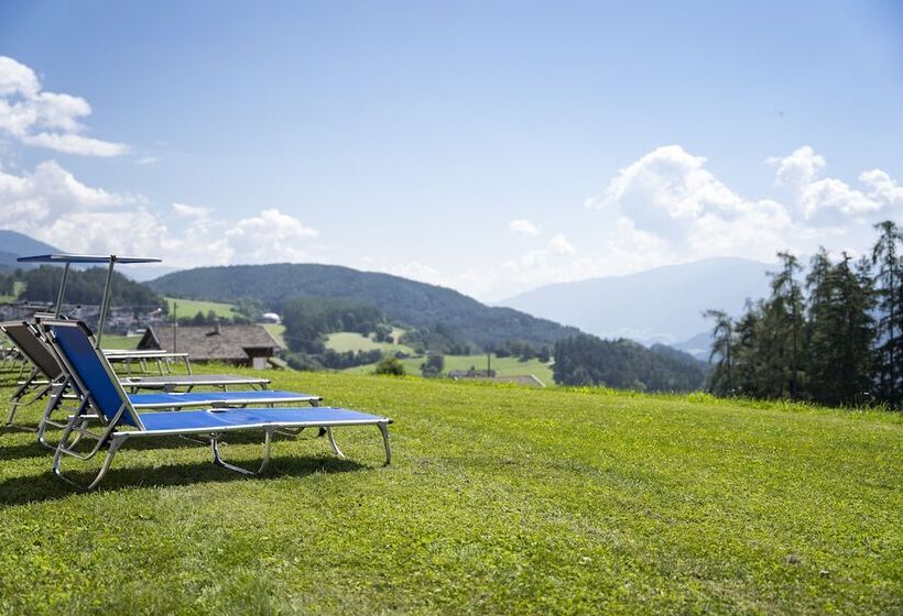 酒店 Pension Moserhof