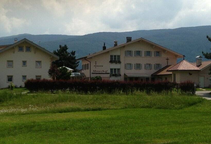 酒店 Pension Moserhof