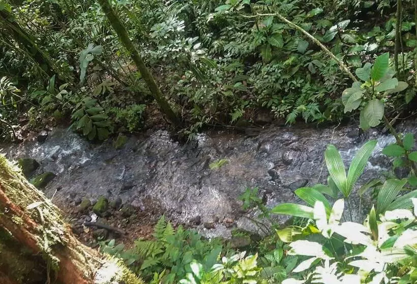 ホテル Rio Celeste Family Lodge