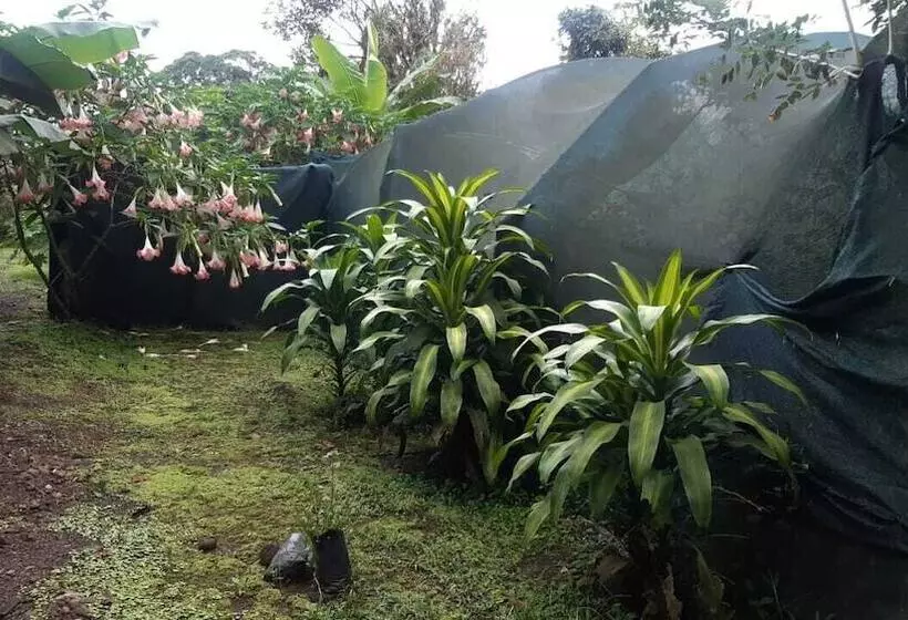ホテル Rio Celeste Family Lodge