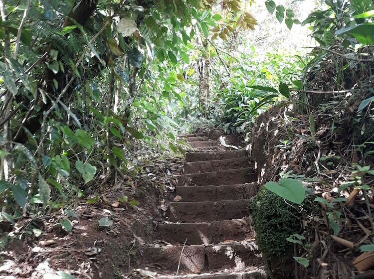 هتل Rio Celeste Family Lodge