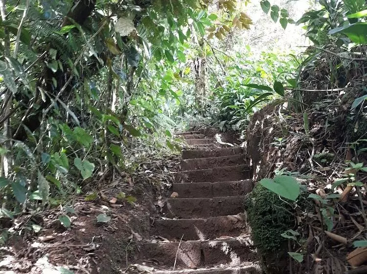 ホテル Rio Celeste Family Lodge