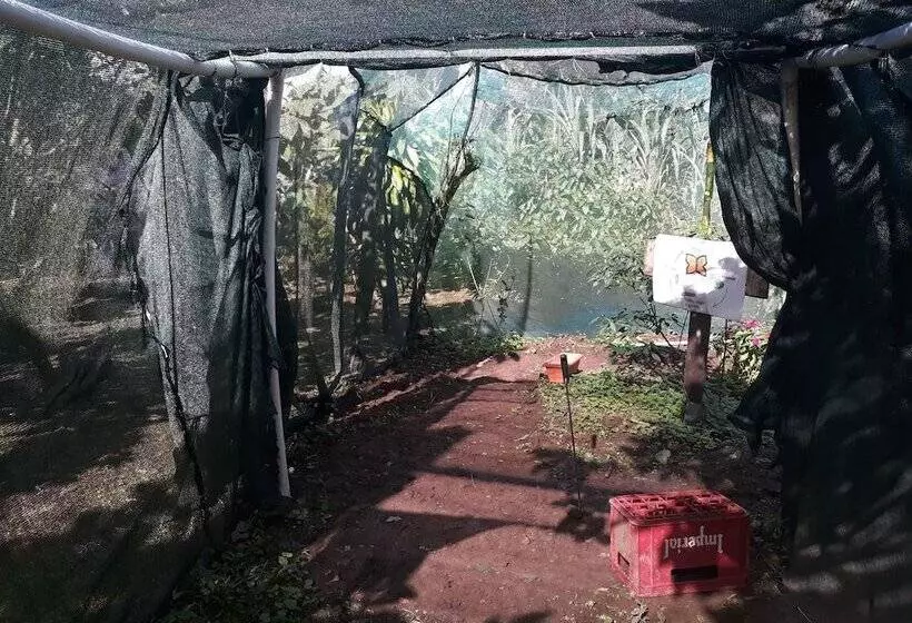 ホテル Rio Celeste Family Lodge