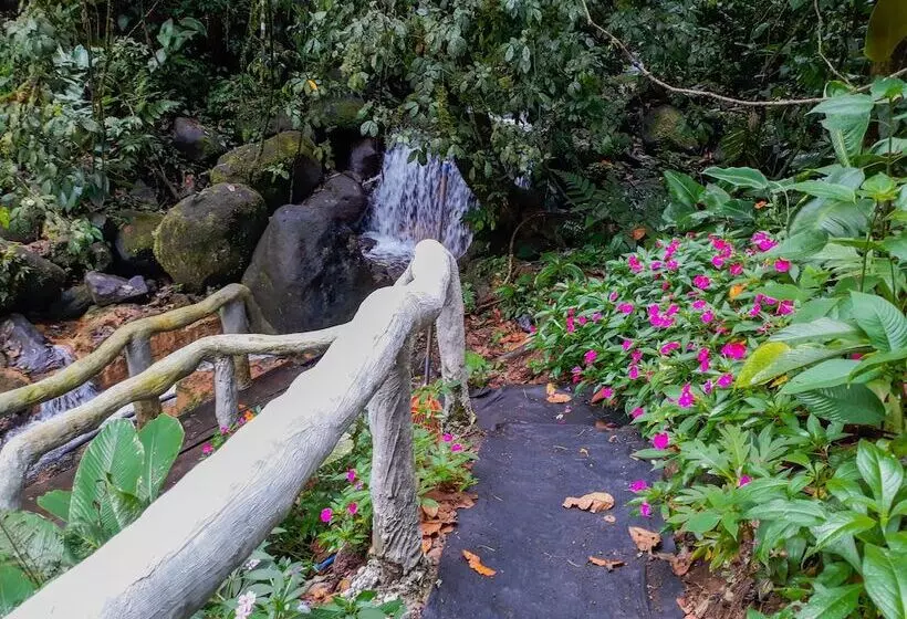 ホテル Rio Celeste Family Lodge
