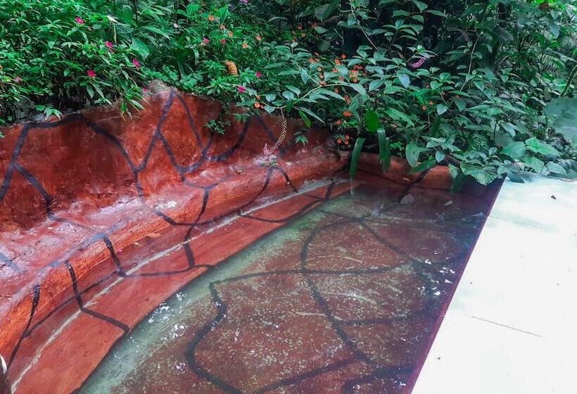 هتل Rio Celeste Family Lodge