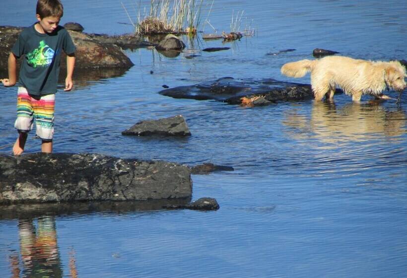 فندق Umzimkulu River Lodge
