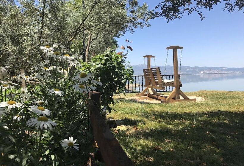 פנסיון Rahmi Baba 1966