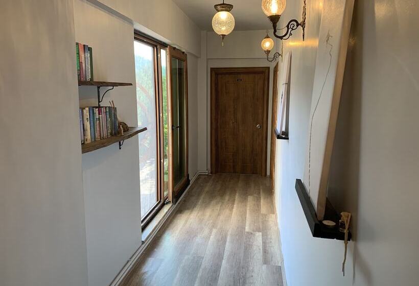 פנסיון Rahmi Baba 1966