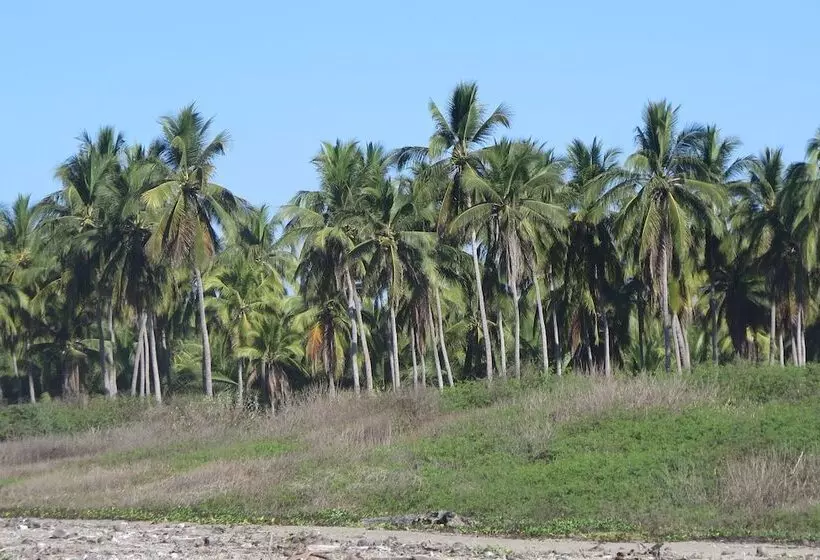 Troncones Point Hostel