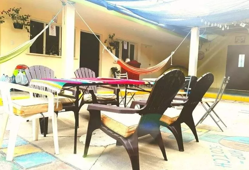 Abu Hotel   Hostel