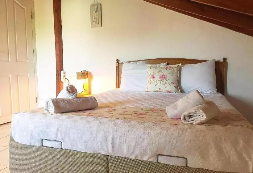 Amigo Apartments