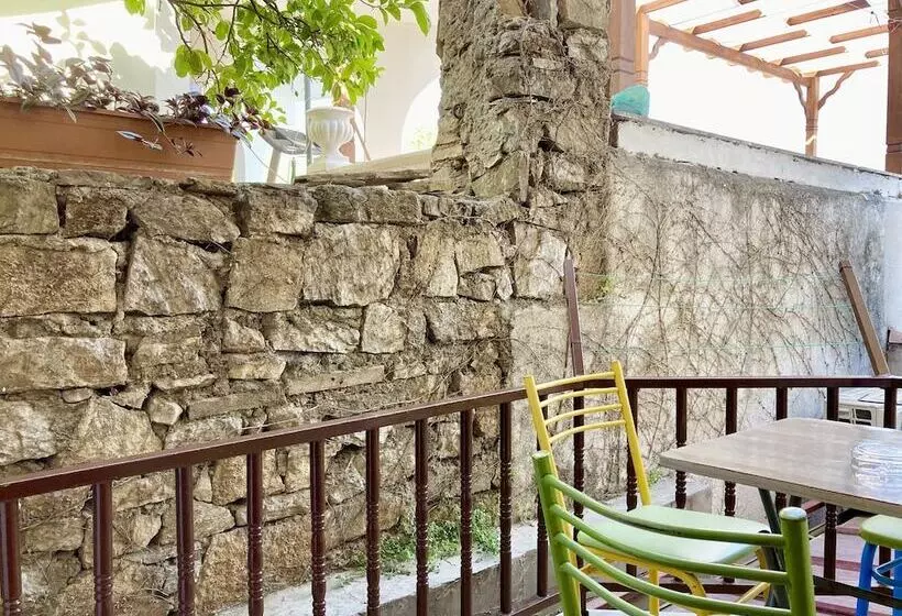 Amigo Apartments