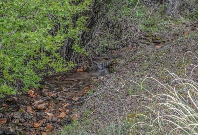 Beavers Mountain Escape