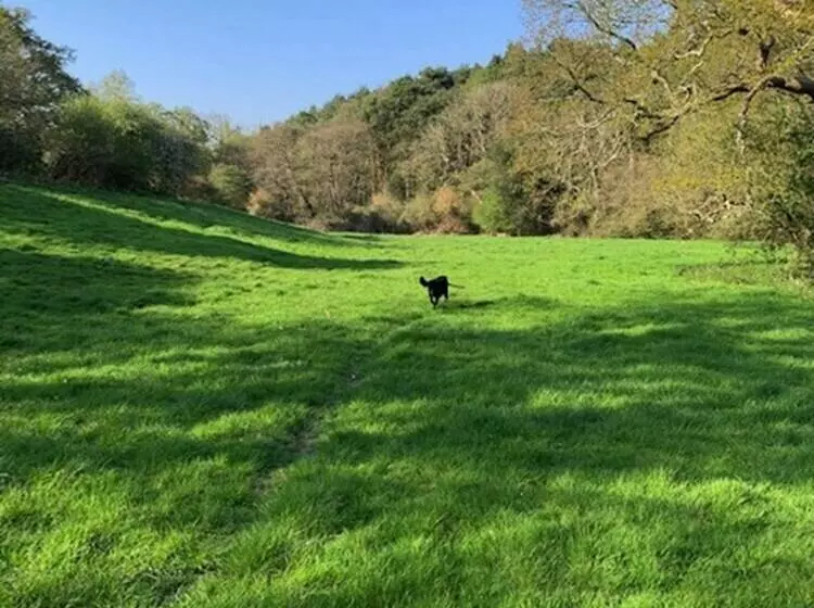 Aamiaismajoitus (B&B) Bridge Cottage