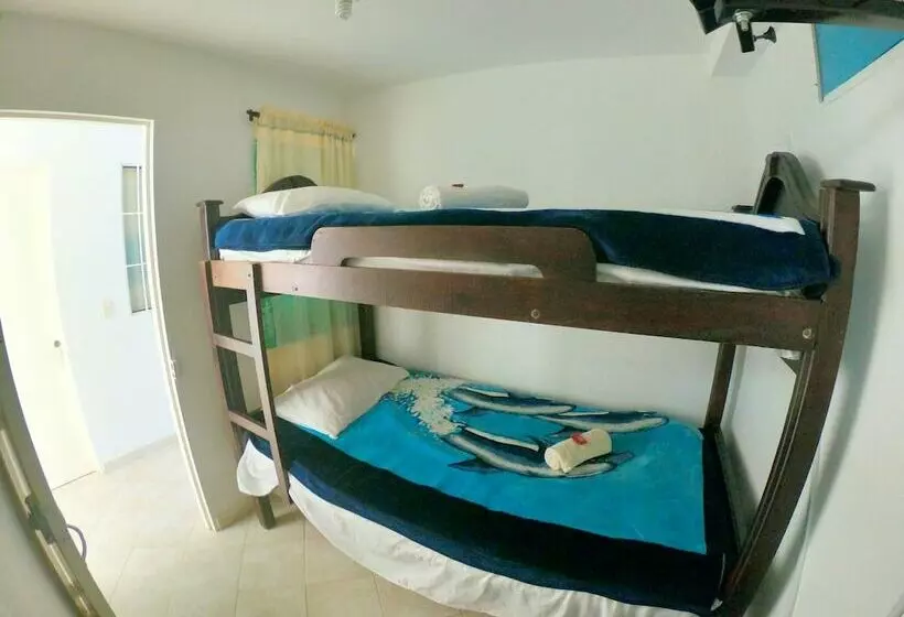 Natural Rock Hostal