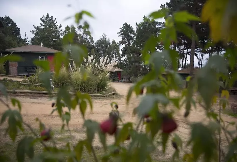 Hotelli Cabañas Lugano