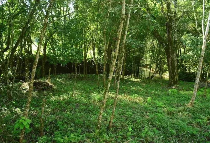 ホテル Coati Lodge