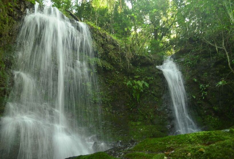 فندق Coati Lodge