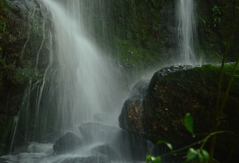 فندق Coati Lodge
