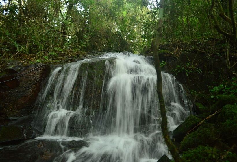 فندق Coati Lodge