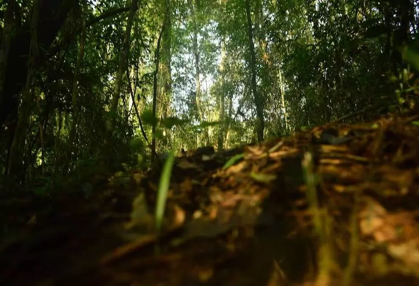 ホテル Coati Lodge