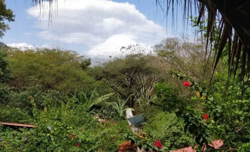 Hotelli Finca Del Sol Eco Lodge