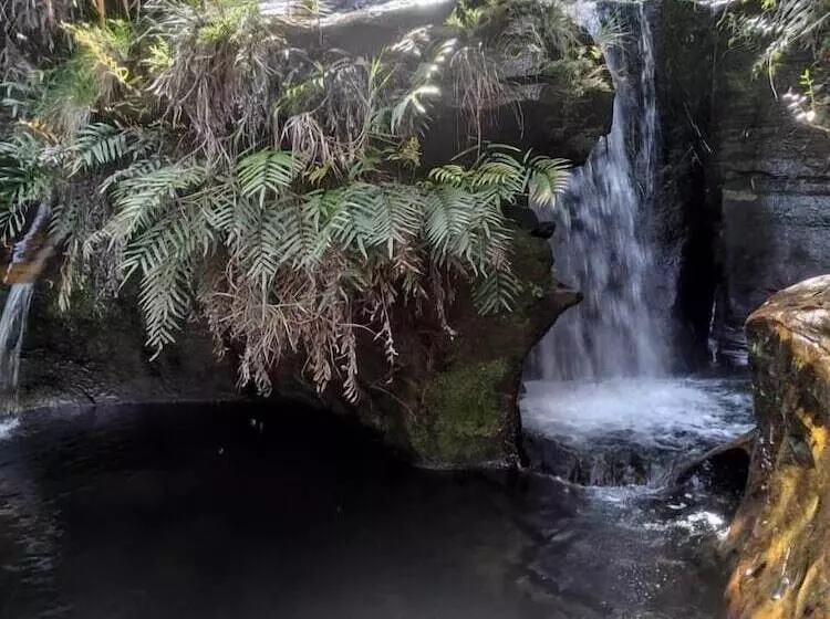 ホテル Pousada Da Toca