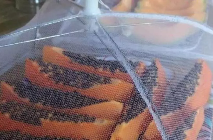 Hotelli Pousada Virginia