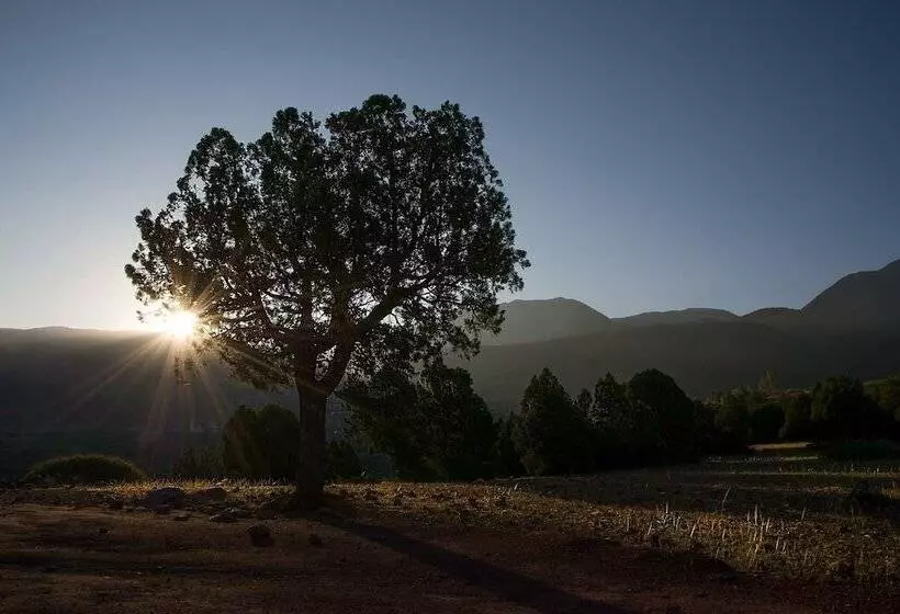 L  Amandier Hotel & Villas