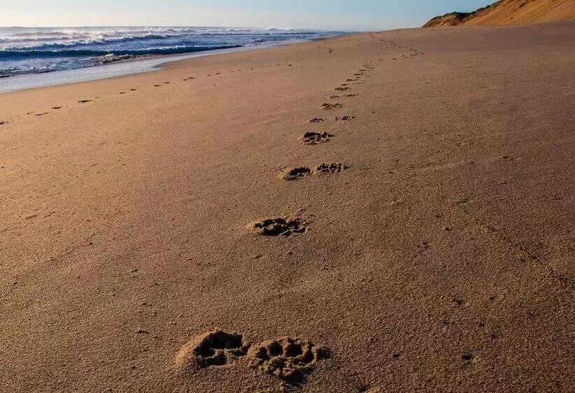 Motelli Endless Coast, A Boutique