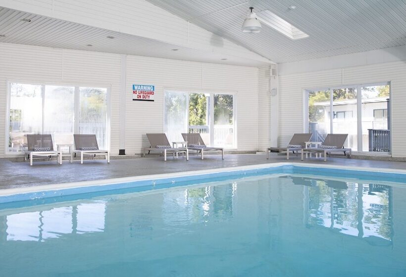 Motel Endless Coast, A Boutique