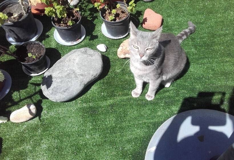 پانسیون Casa De Huespedes Qué Encanto La Italiana Adults Only