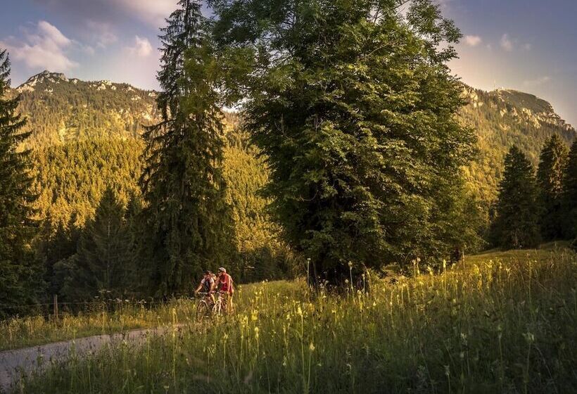 Stefanies Cafe Pension Culture