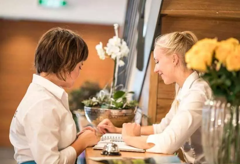 Stefanies Cafe Pension Culture