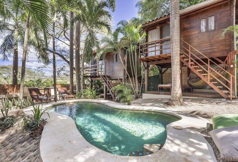 The Beach Bungalows Tamarindo B&b