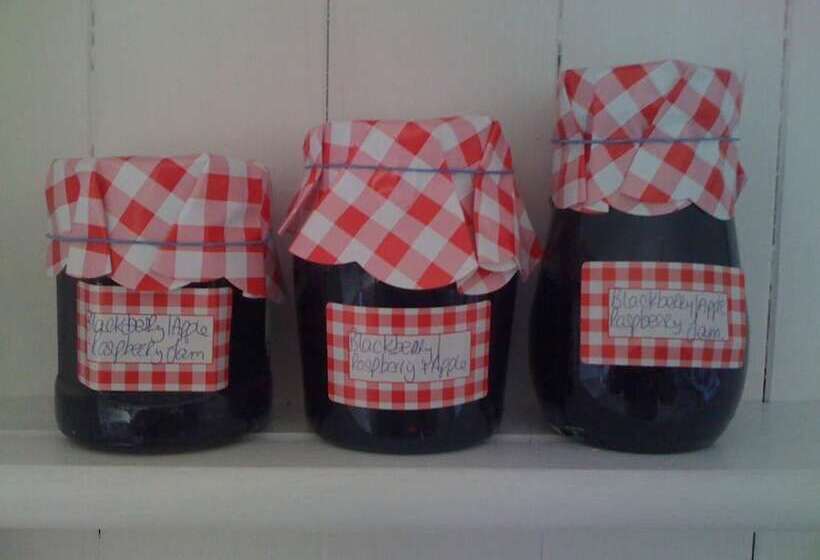 Bed and Breakfast The Vandees